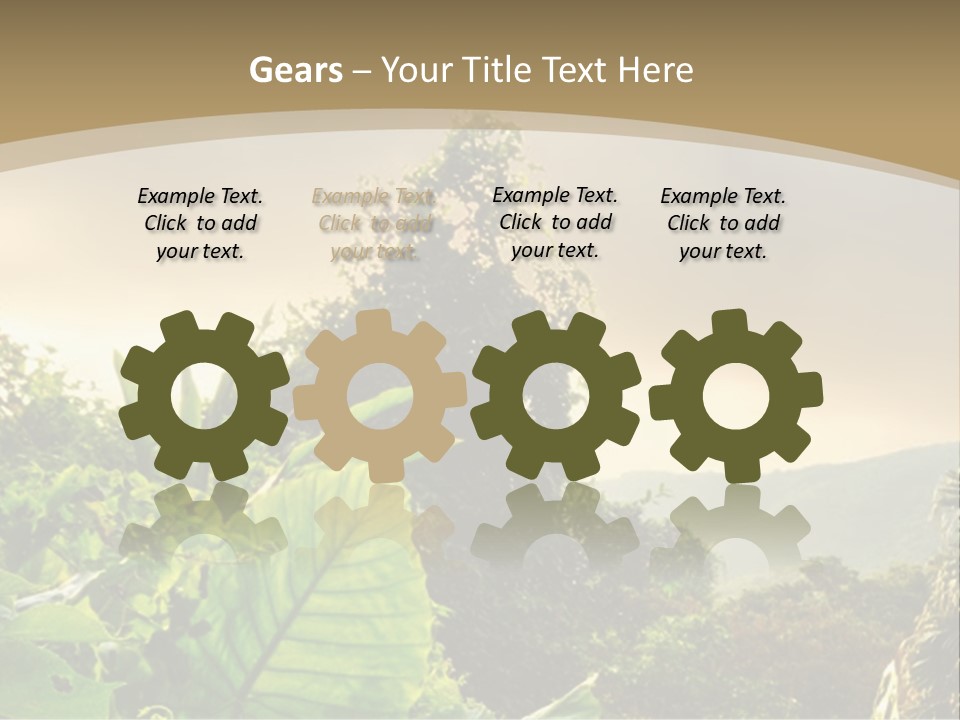 A Picture Of A Jungle With Trees And Mountains In The Background PowerPoint Template