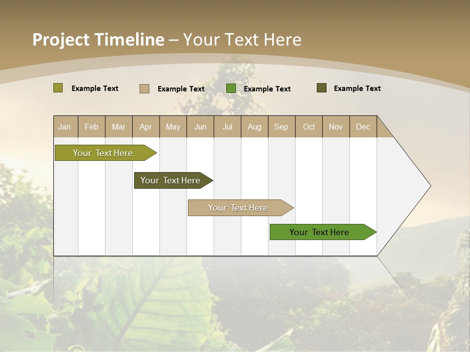 A Picture Of A Jungle With Trees And Mountains In The Background PowerPoint Template
