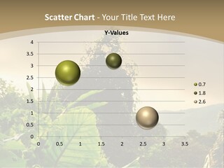 A Picture Of A Jungle With Trees And Mountains In The Background PowerPoint Template