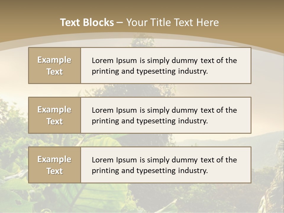 A Picture Of A Jungle With Trees And Mountains In The Background PowerPoint Template