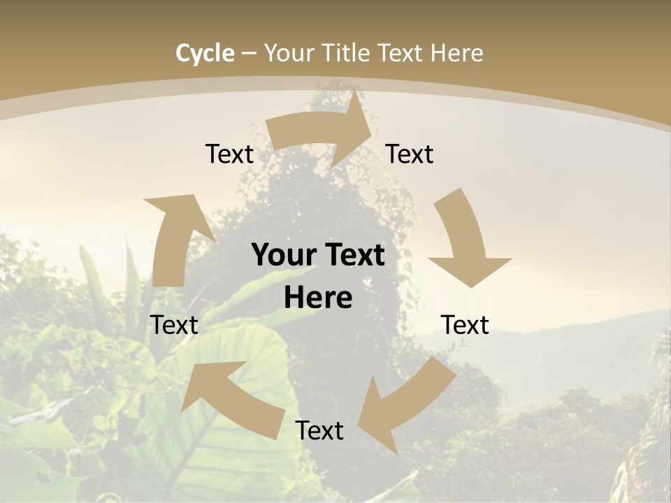 A Picture Of A Jungle With Trees And Mountains In The Background PowerPoint Template