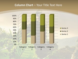 A Picture Of A Jungle With Trees And Mountains In The Background PowerPoint Template