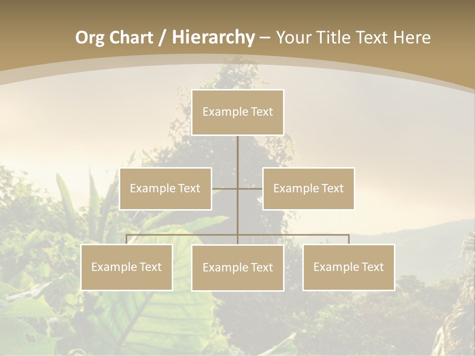 A Picture Of A Jungle With Trees And Mountains In The Background PowerPoint Template