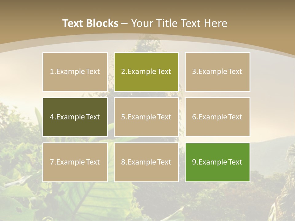 A Picture Of A Jungle With Trees And Mountains In The Background PowerPoint Template
