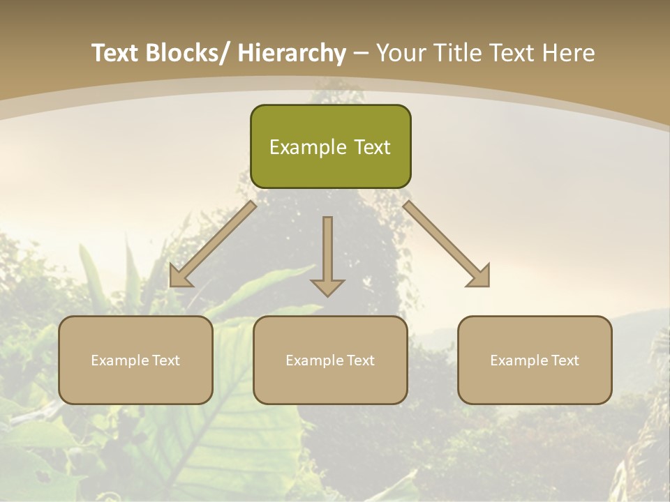 A Picture Of A Jungle With Trees And Mountains In The Background PowerPoint Template