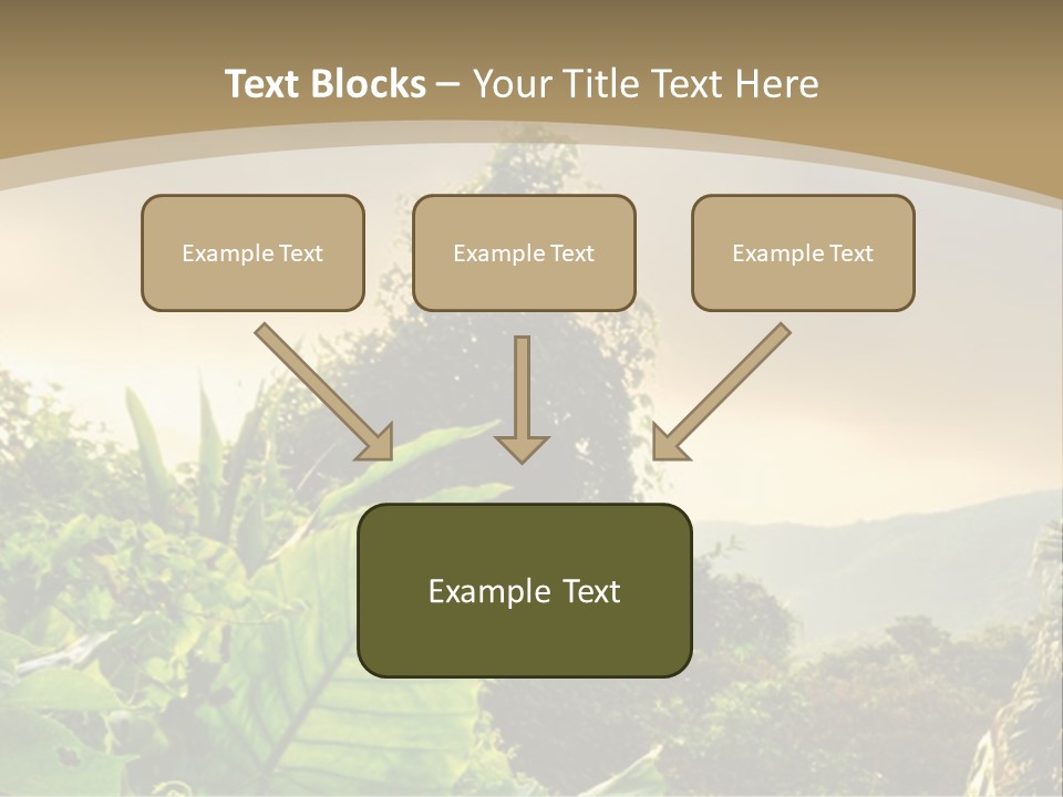 A Picture Of A Jungle With Trees And Mountains In The Background PowerPoint Template