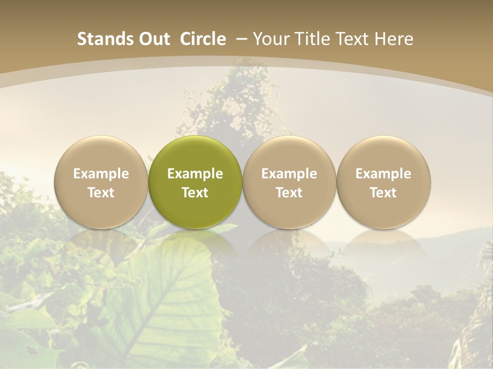 A Picture Of A Jungle With Trees And Mountains In The Background PowerPoint Template