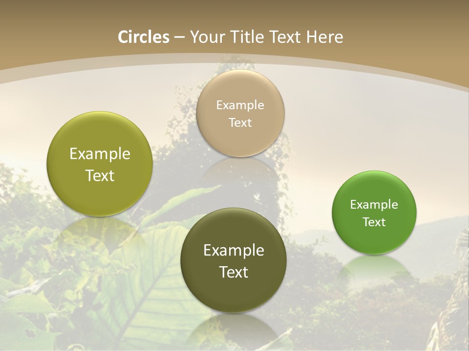 A Picture Of A Jungle With Trees And Mountains In The Background PowerPoint Template