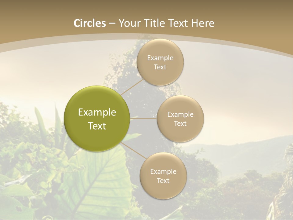 A Picture Of A Jungle With Trees And Mountains In The Background PowerPoint Template