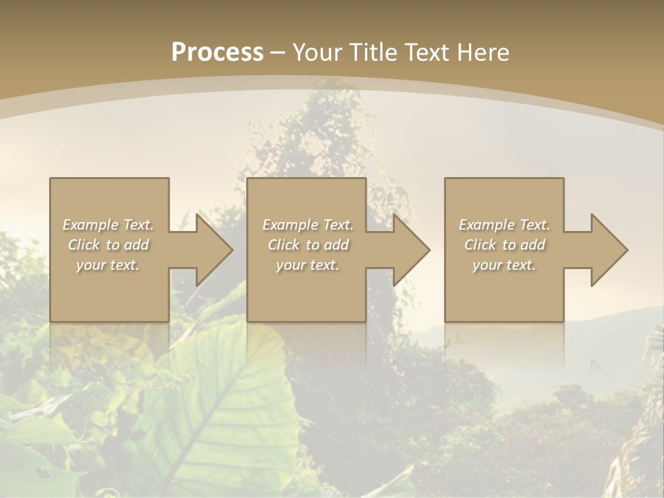 A Picture Of A Jungle With Trees And Mountains In The Background PowerPoint Template