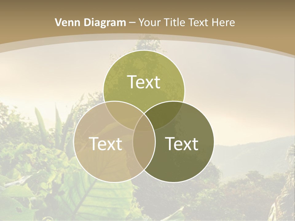 A Picture Of A Jungle With Trees And Mountains In The Background PowerPoint Template