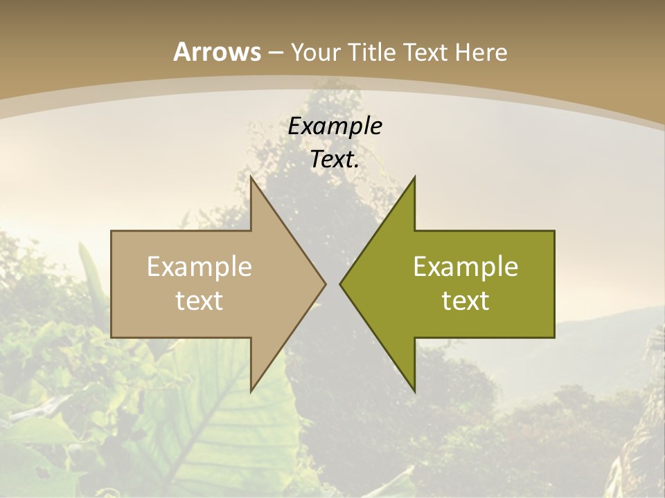 A Picture Of A Jungle With Trees And Mountains In The Background PowerPoint Template