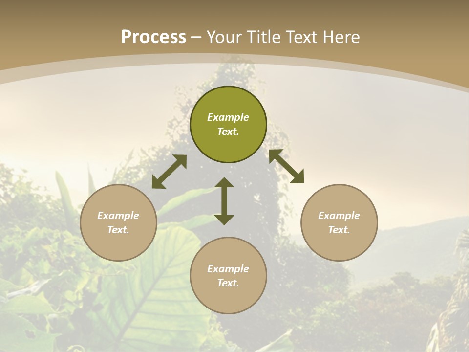 A Picture Of A Jungle With Trees And Mountains In The Background PowerPoint Template