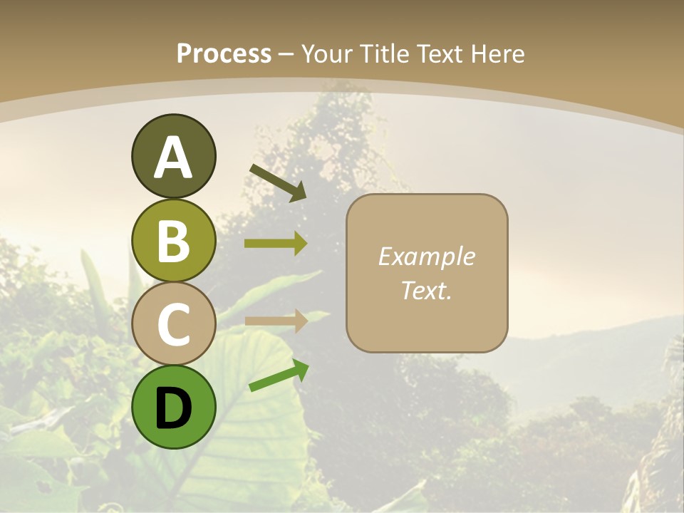 A Picture Of A Jungle With Trees And Mountains In The Background PowerPoint Template
