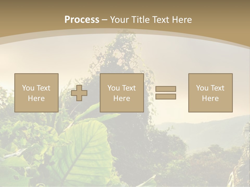 A Picture Of A Jungle With Trees And Mountains In The Background PowerPoint Template