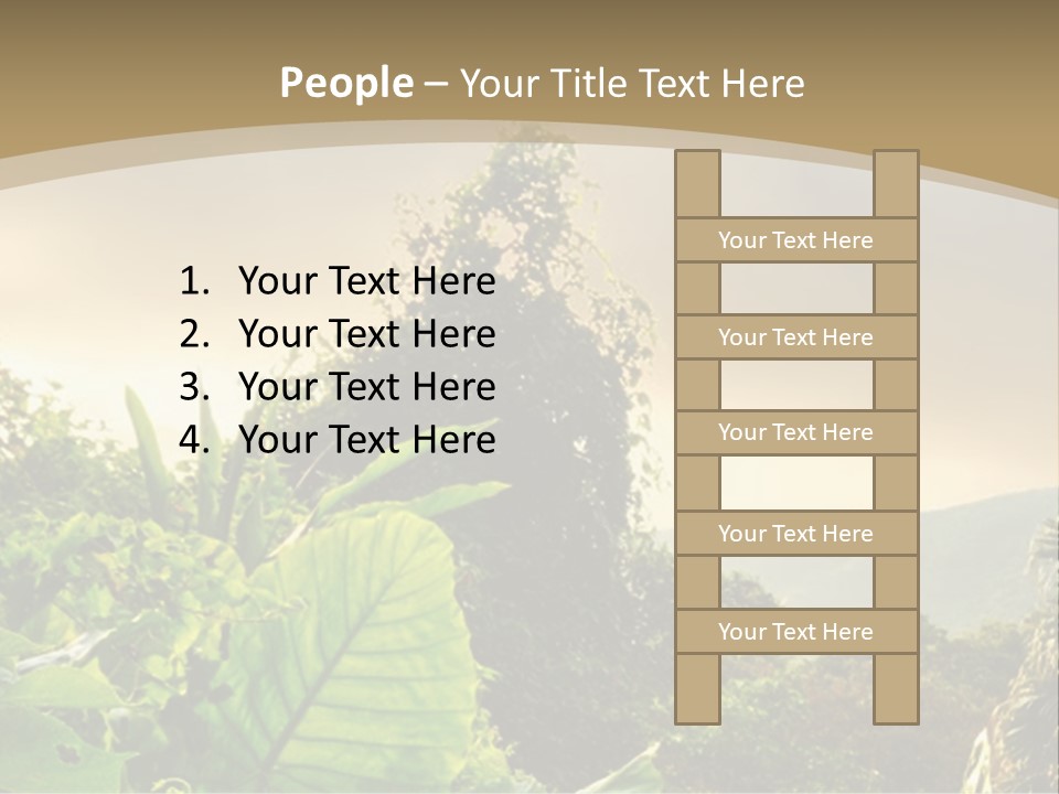 A Picture Of A Jungle With Trees And Mountains In The Background PowerPoint Template