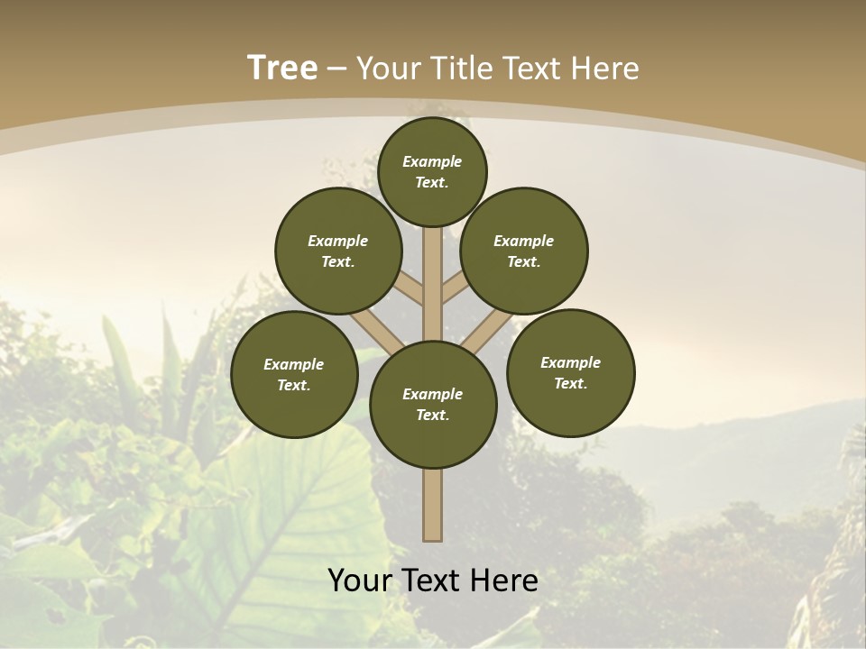 A Picture Of A Jungle With Trees And Mountains In The Background PowerPoint Template