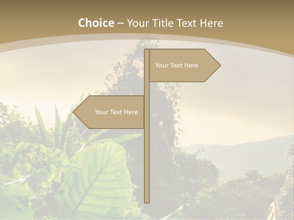 A Picture Of A Jungle With Trees And Mountains In The Background PowerPoint Template