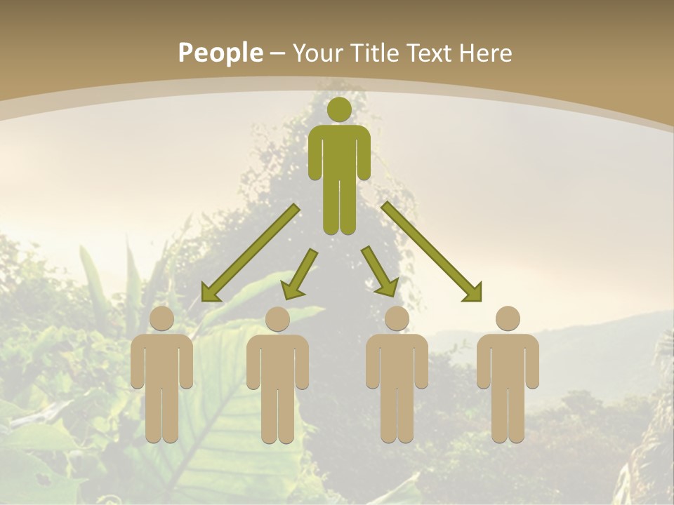 A Picture Of A Jungle With Trees And Mountains In The Background PowerPoint Template