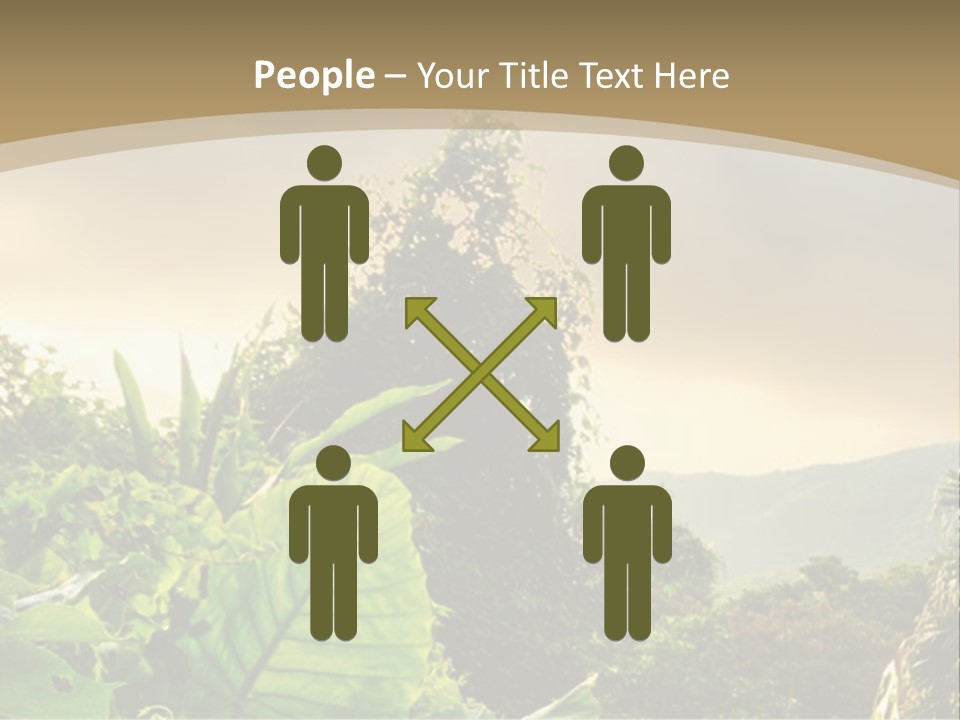 A Picture Of A Jungle With Trees And Mountains In The Background PowerPoint Template
