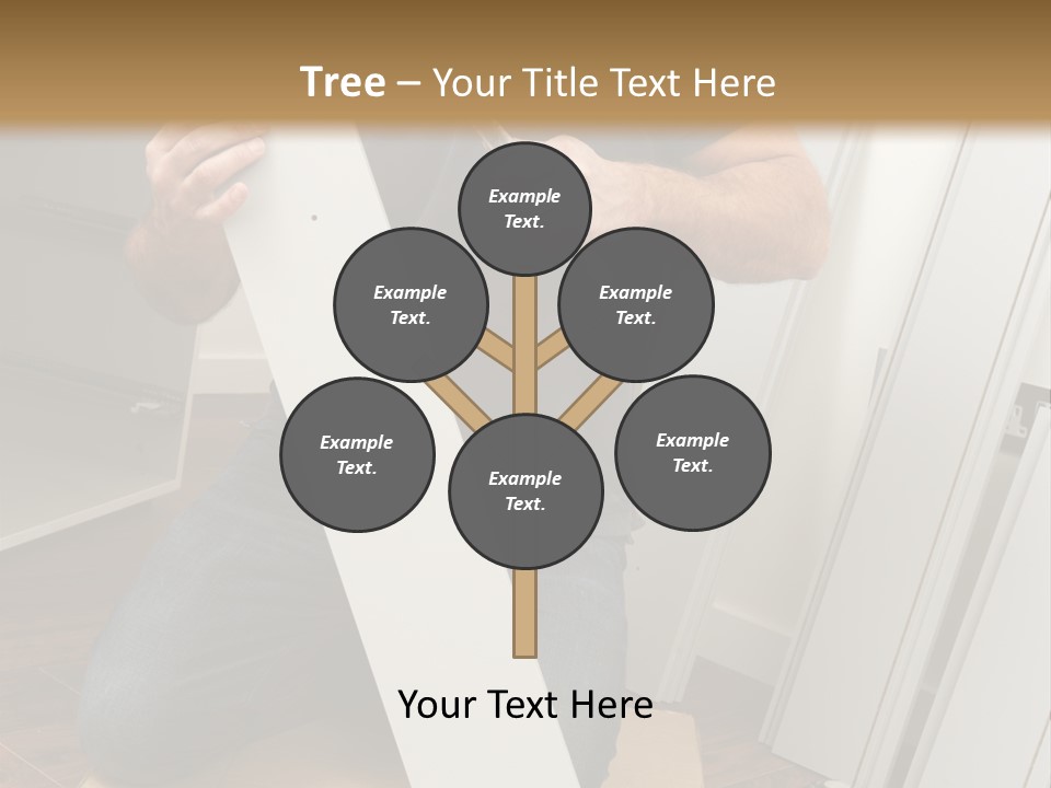 Assembly Furniture Confident PowerPoint Template
