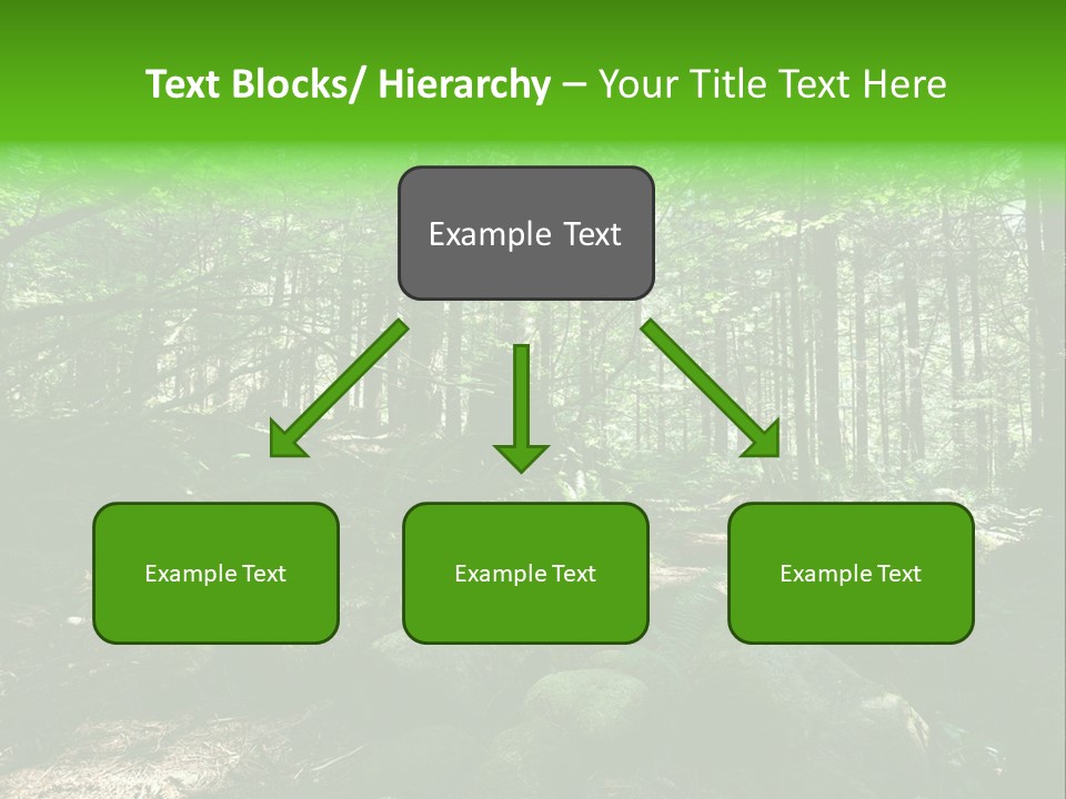 Lynn Beams Serenity PowerPoint Template