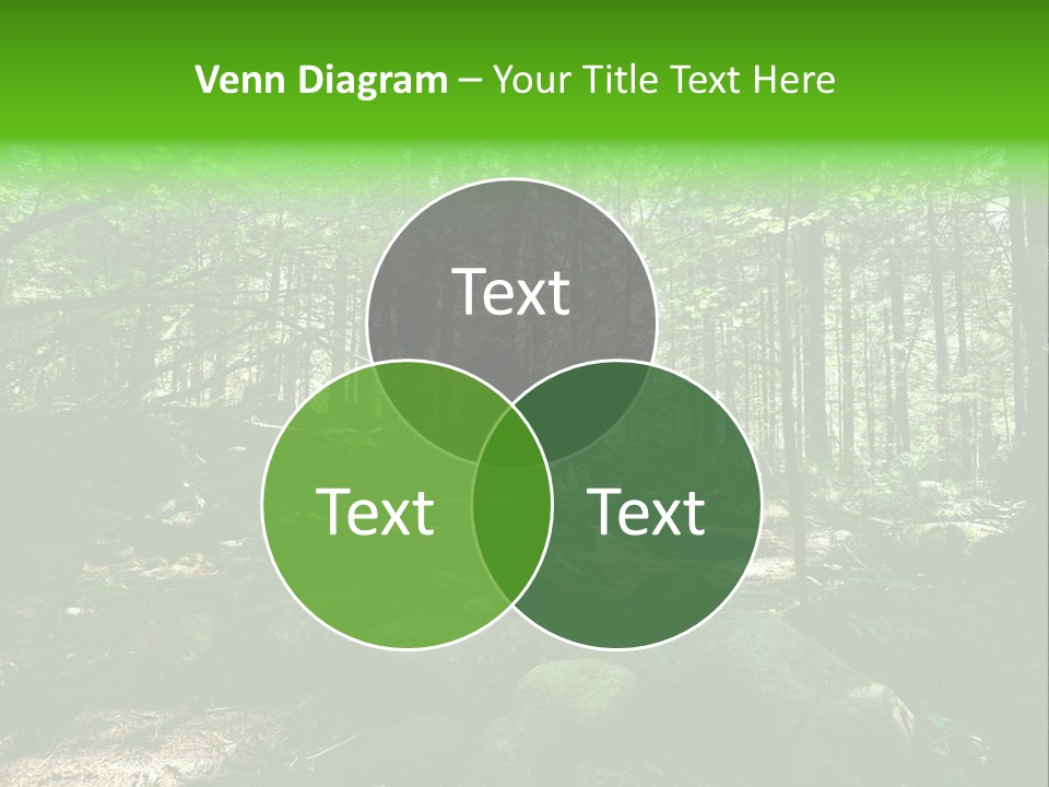 Lynn Beams Serenity PowerPoint Template