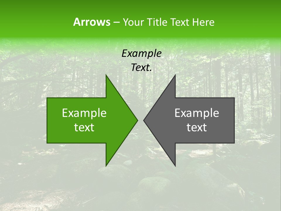 Lynn Beams Serenity PowerPoint Template