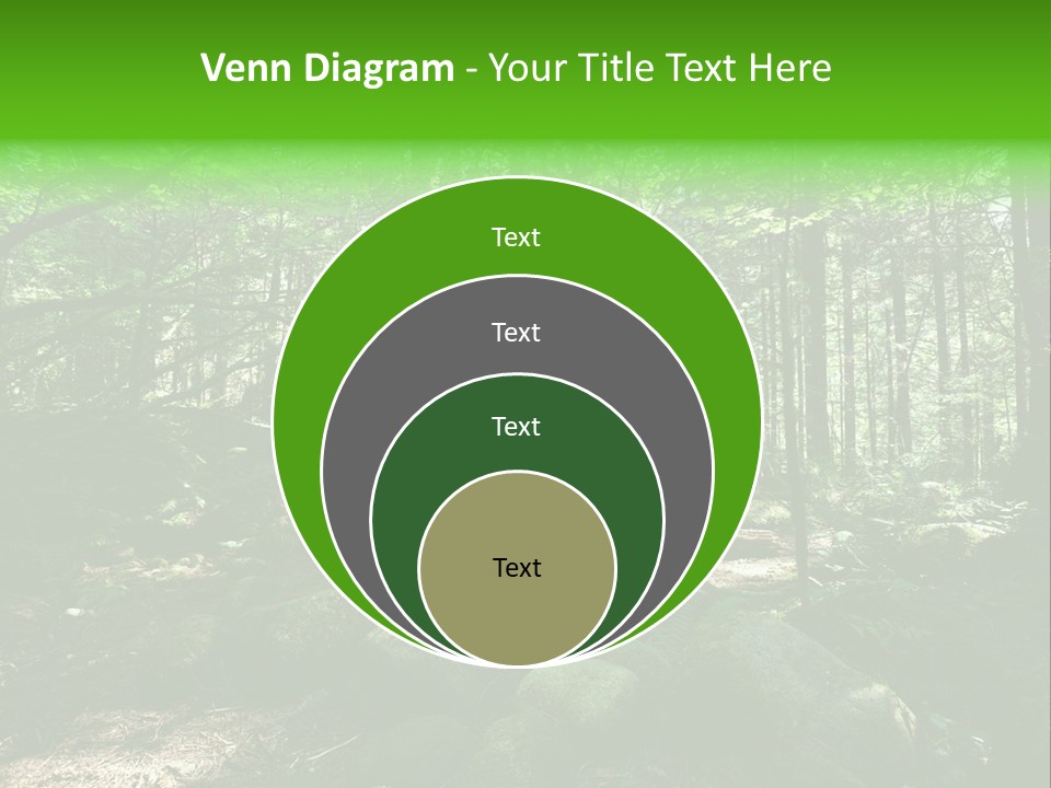 Lynn Beams Serenity PowerPoint Template