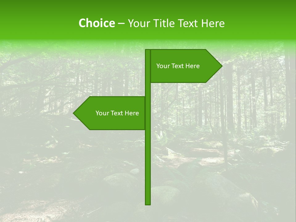 Lynn Beams Serenity PowerPoint Template