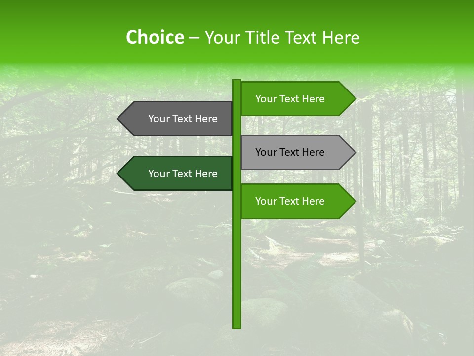 Lynn Beams Serenity PowerPoint Template