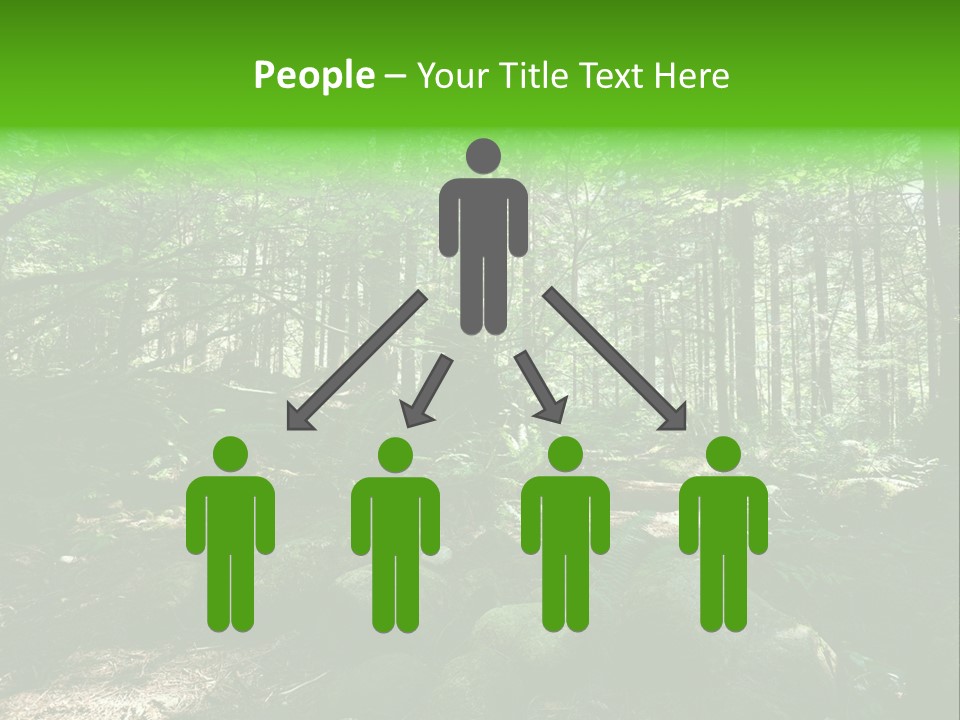 Lynn Beams Serenity PowerPoint Template