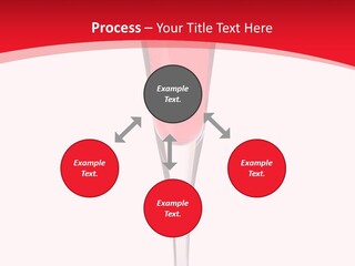 Champagne Summer Cocktail PowerPoint Template