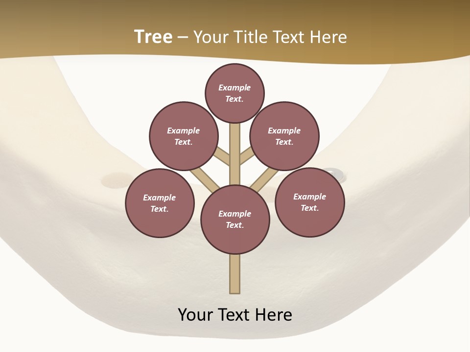 Pain Graft Medical PowerPoint Template