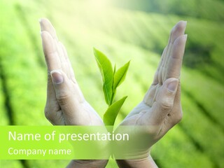 Hand Flora Shielding PowerPoint Template