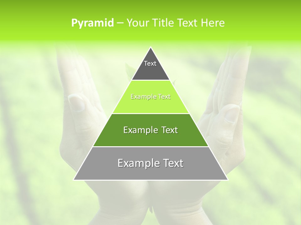 Hand Flora Shielding PowerPoint Template