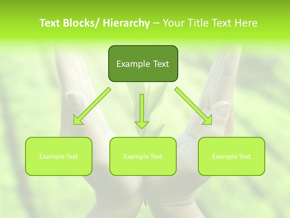 Hand Flora Shielding PowerPoint Template