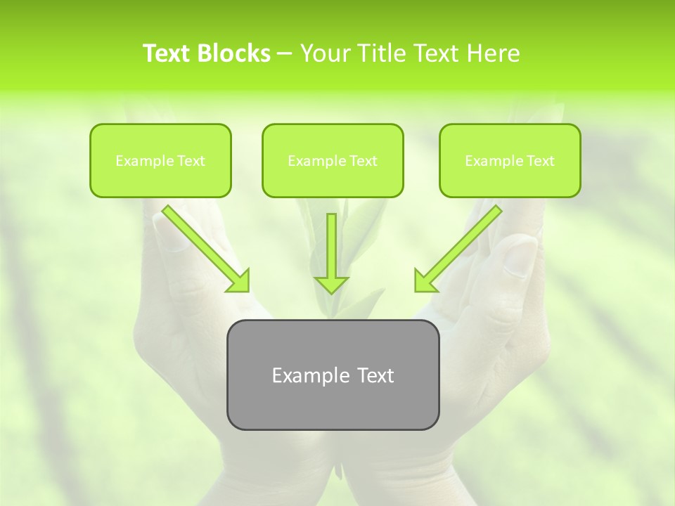 Hand Flora Shielding PowerPoint Template