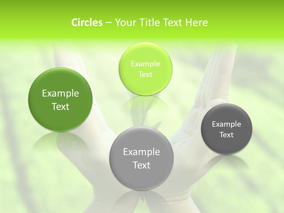 Hand Flora Shielding PowerPoint Template