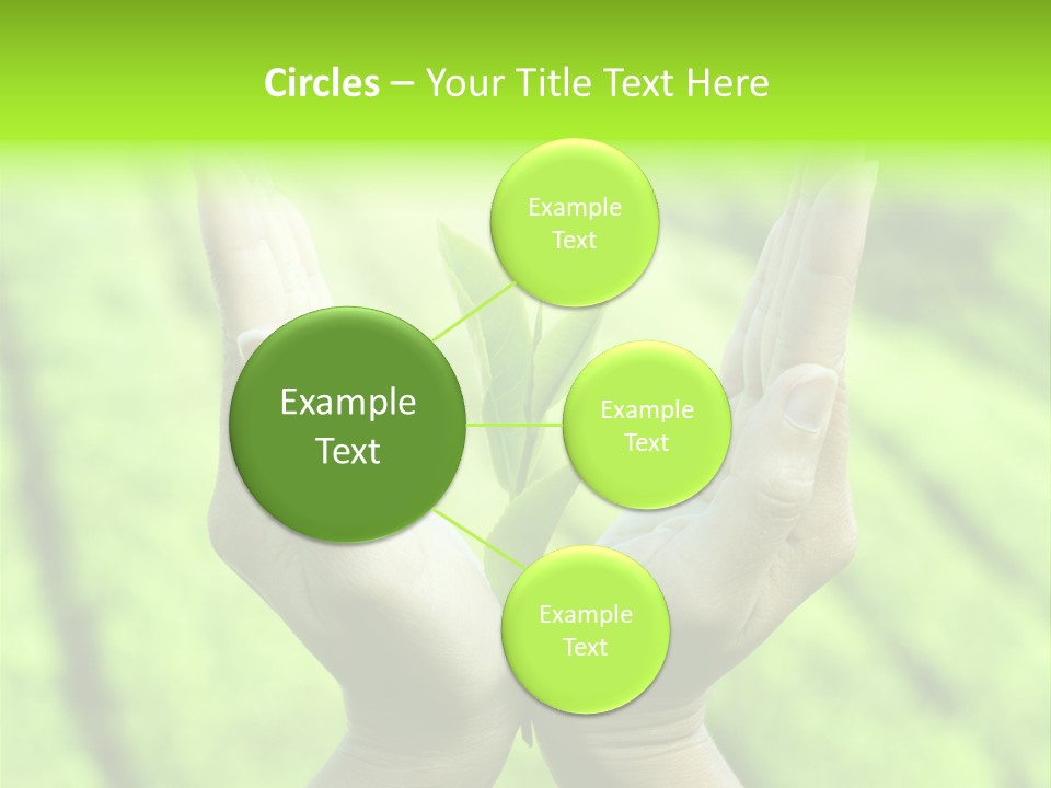 Hand Flora Shielding PowerPoint Template