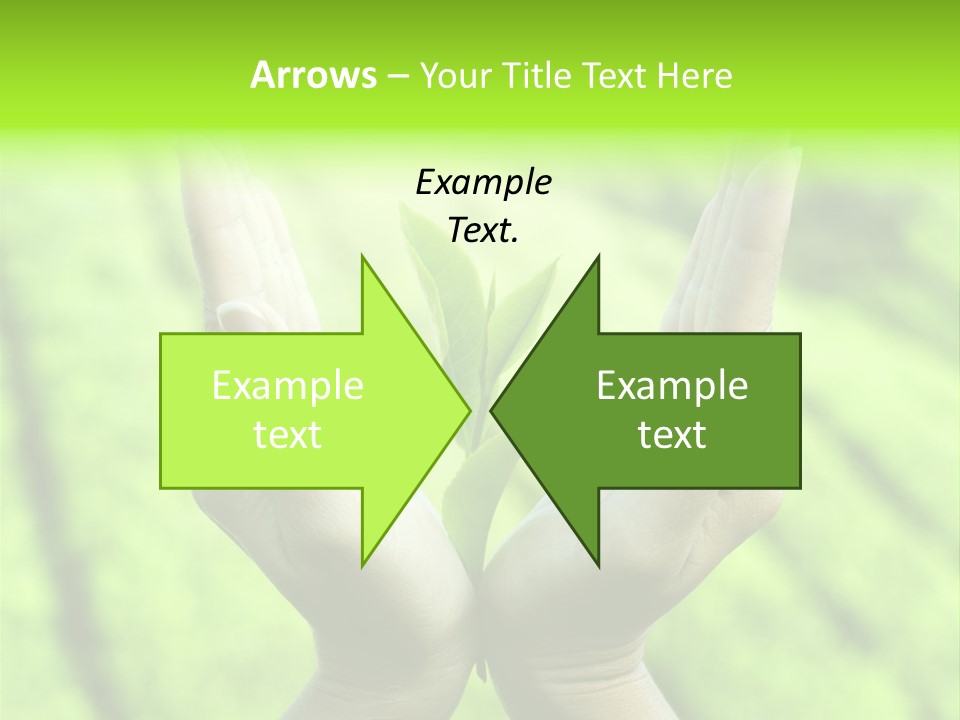 Hand Flora Shielding PowerPoint Template