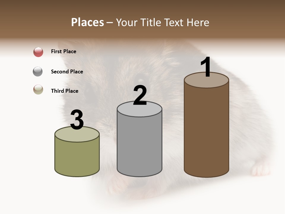Phodopus Siberian Look PowerPoint Template