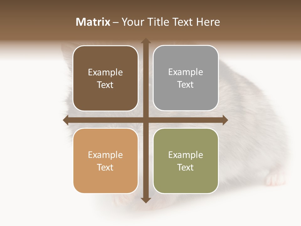 Phodopus Siberian Look PowerPoint Template