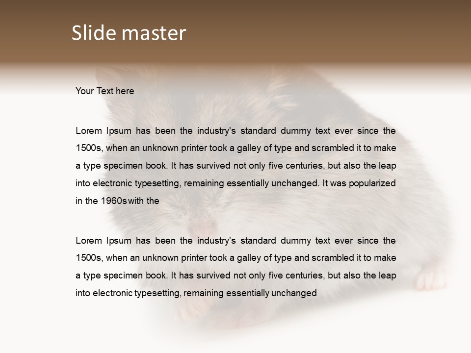 Phodopus Siberian Look PowerPoint Template