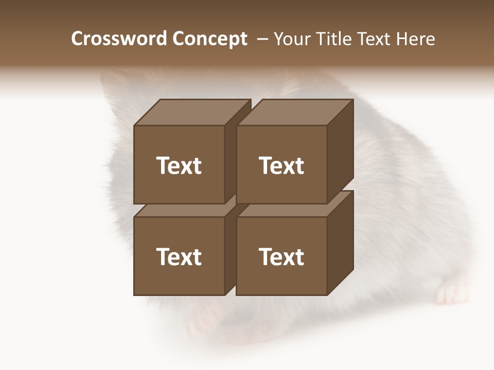Phodopus Siberian Look PowerPoint Template