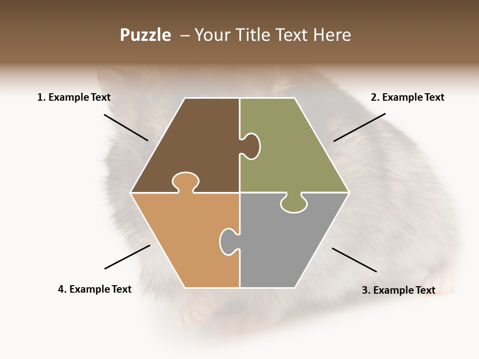 Phodopus Siberian Look PowerPoint Template