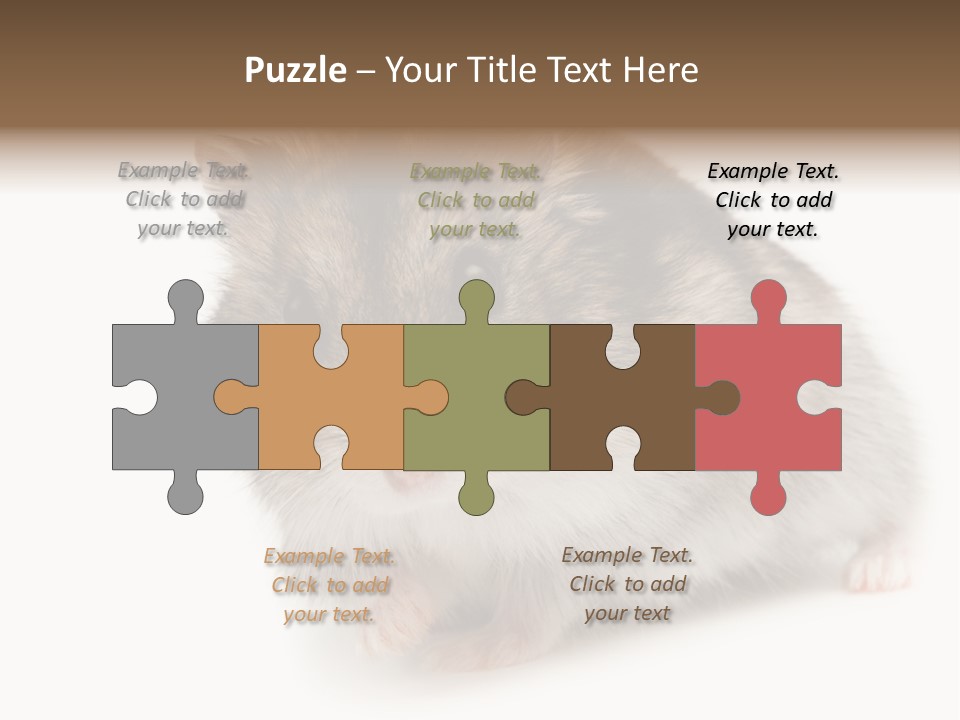 Phodopus Siberian Look PowerPoint Template