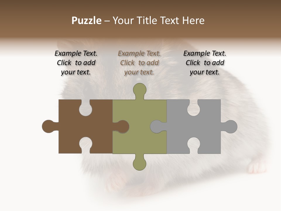 Phodopus Siberian Look PowerPoint Template