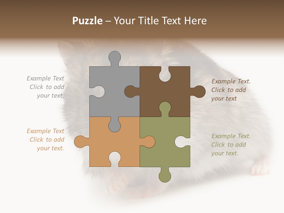 Phodopus Siberian Look PowerPoint Template