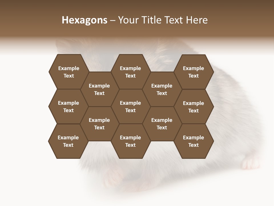 Phodopus Siberian Look PowerPoint Template